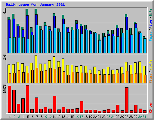 Daily usage for January 2021
