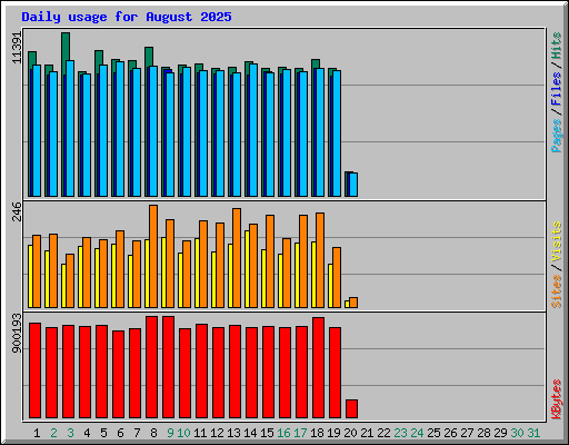 Daily usage for August 2025