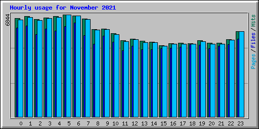 Hourly usage for November 2021
