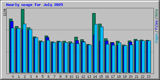 Hourly usage for July 2025