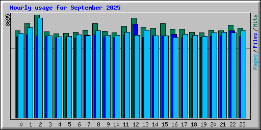 Hourly usage for September 2025