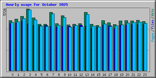 Hourly usage for October 2025