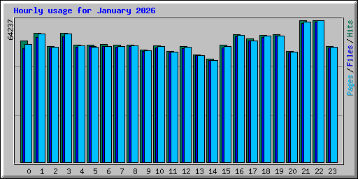 Hourly usage for January 2026